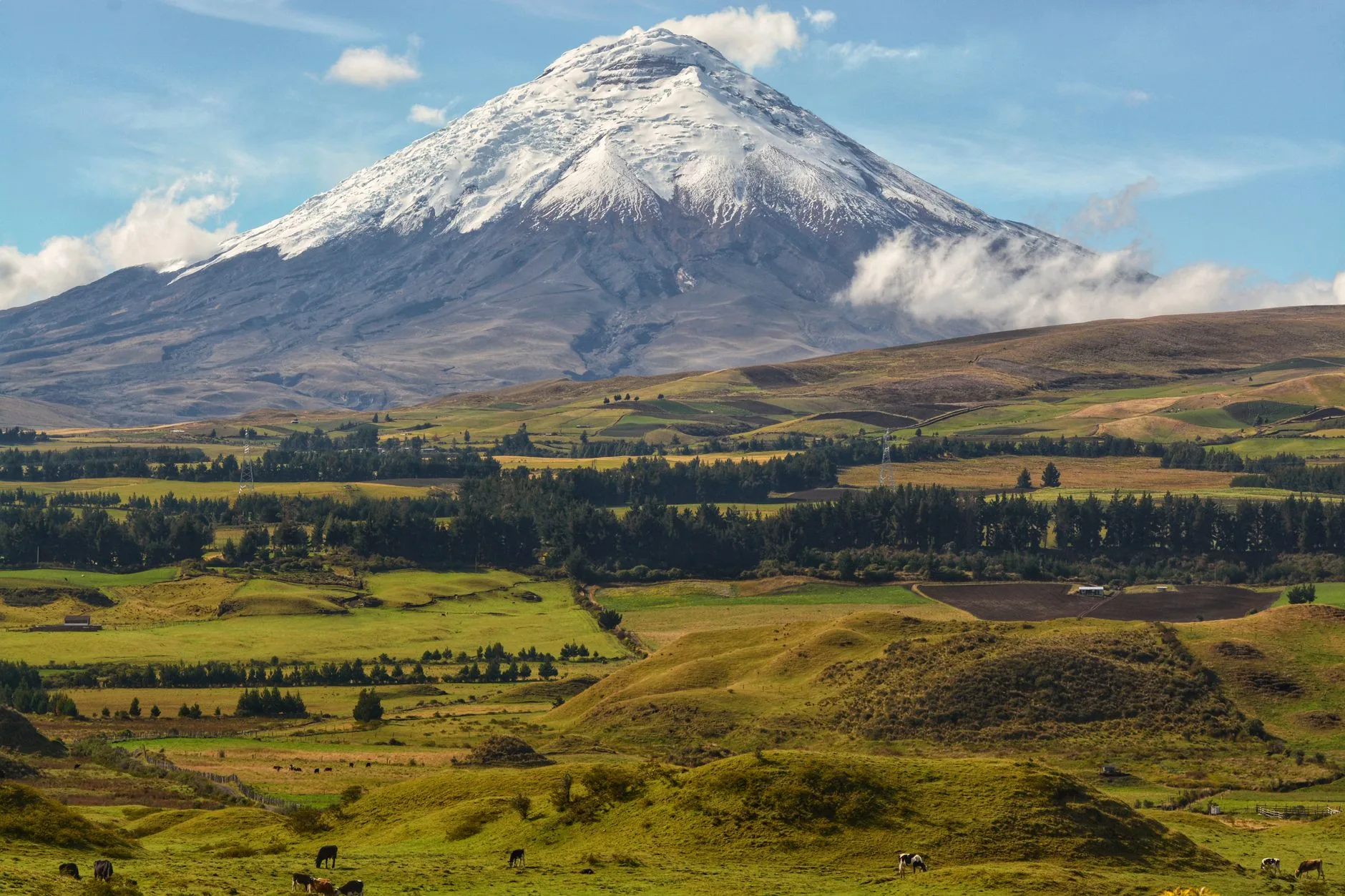 Le volcan Cotopaxi et sa silhouette conique enneigée dans les Andes équatoriennes