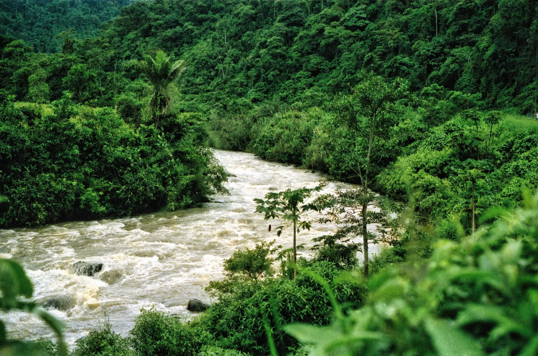 Amazonie : prévoir de se déconnecter
