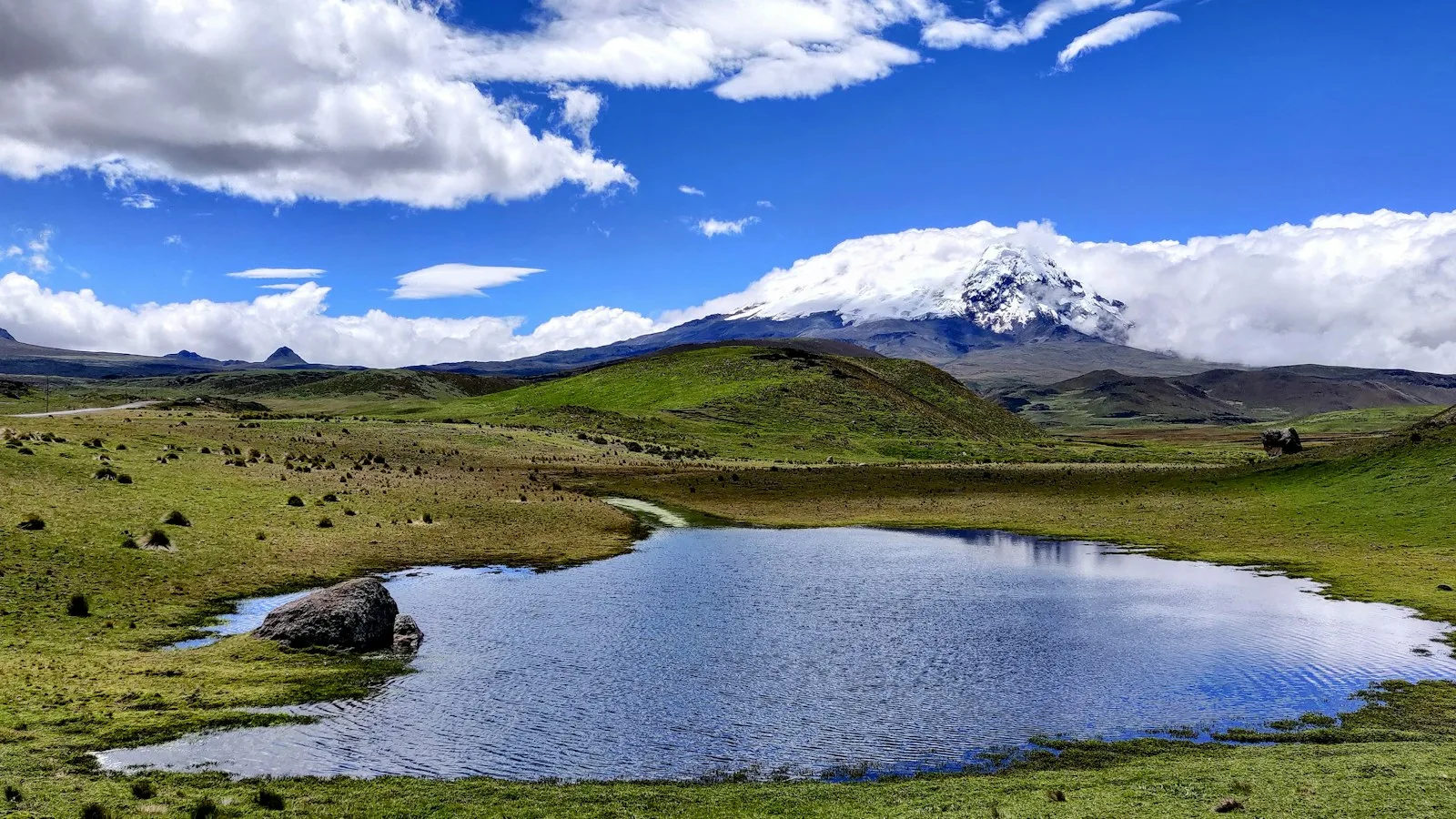 Le volcan Chimborazo enneigé dominant le páramo andin