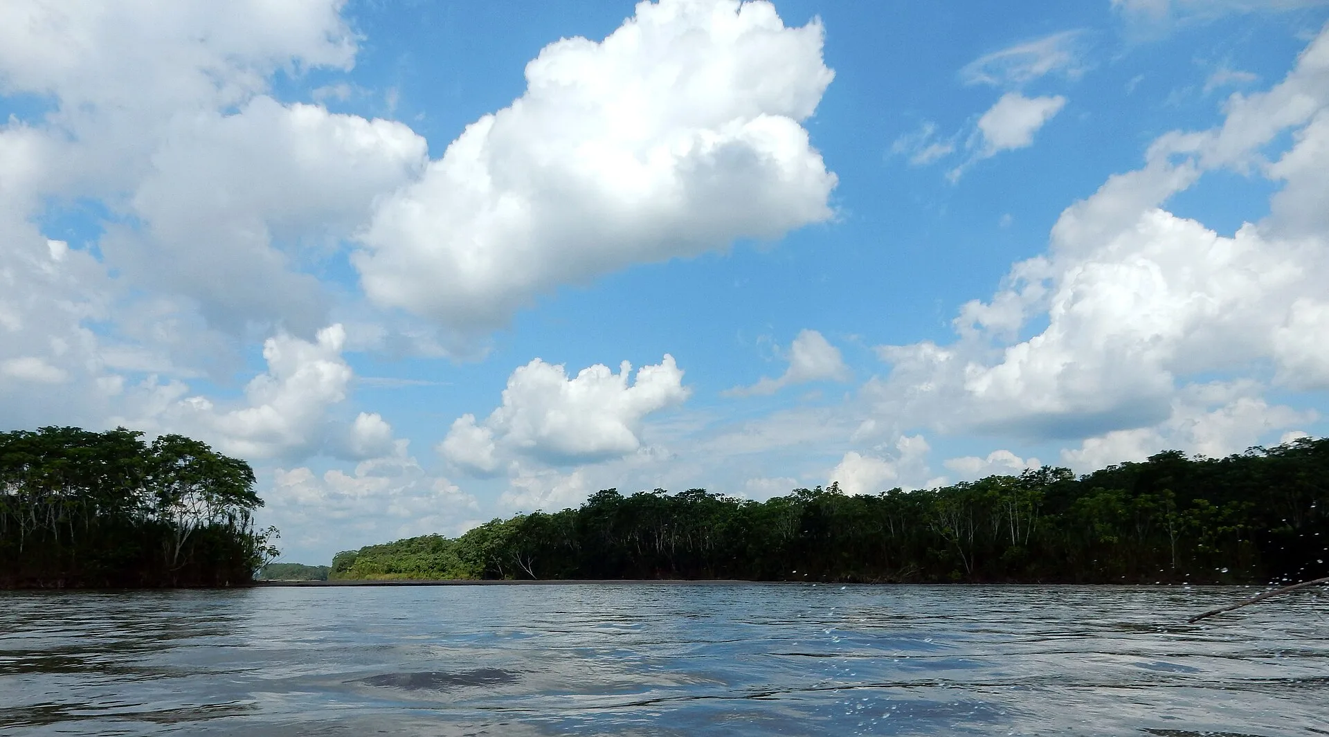 L'Amazonie : manioc, fruits et poissons de rivière