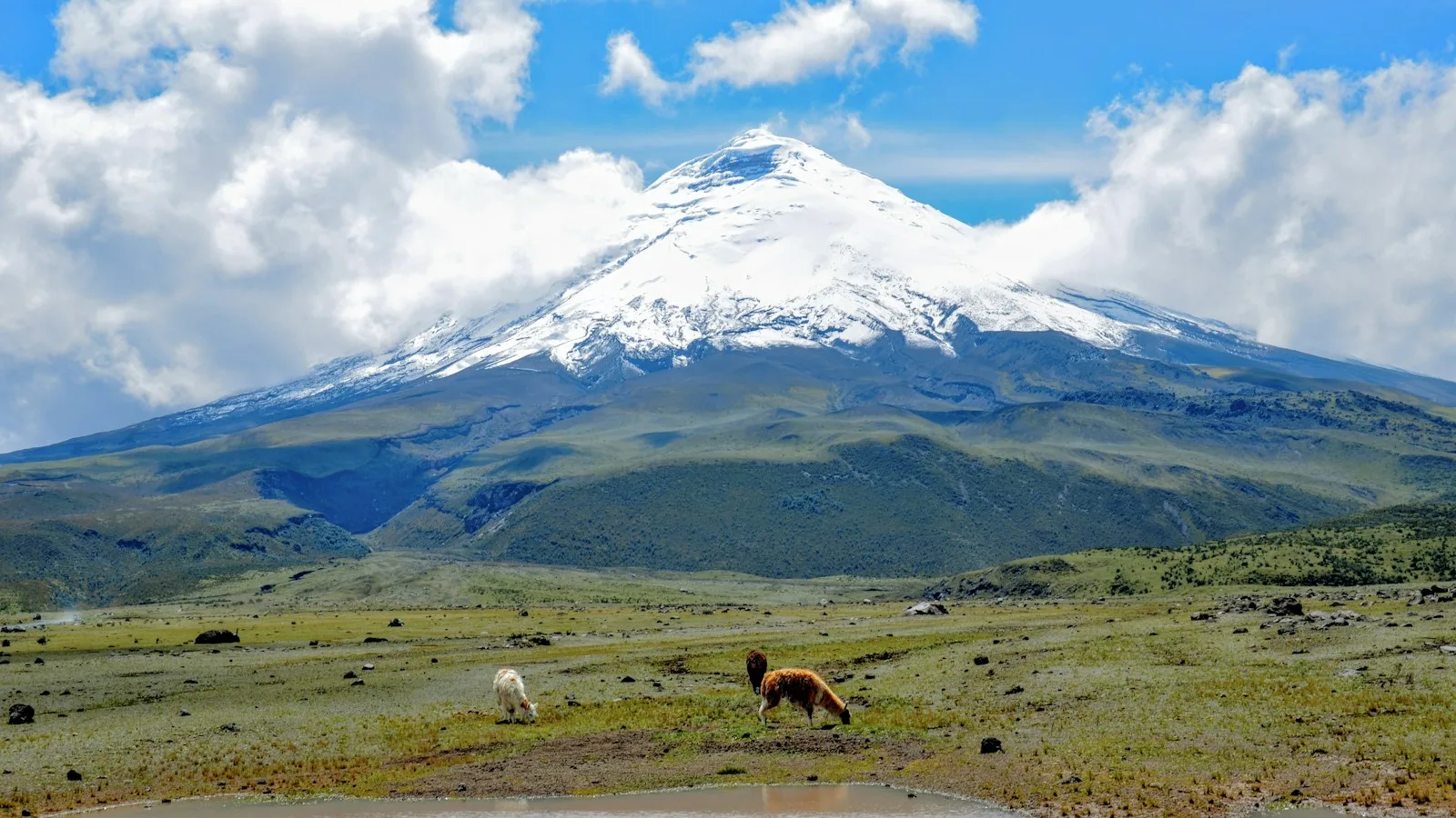 Paysage andin d'Équateur avec un volcan dominant la vallée