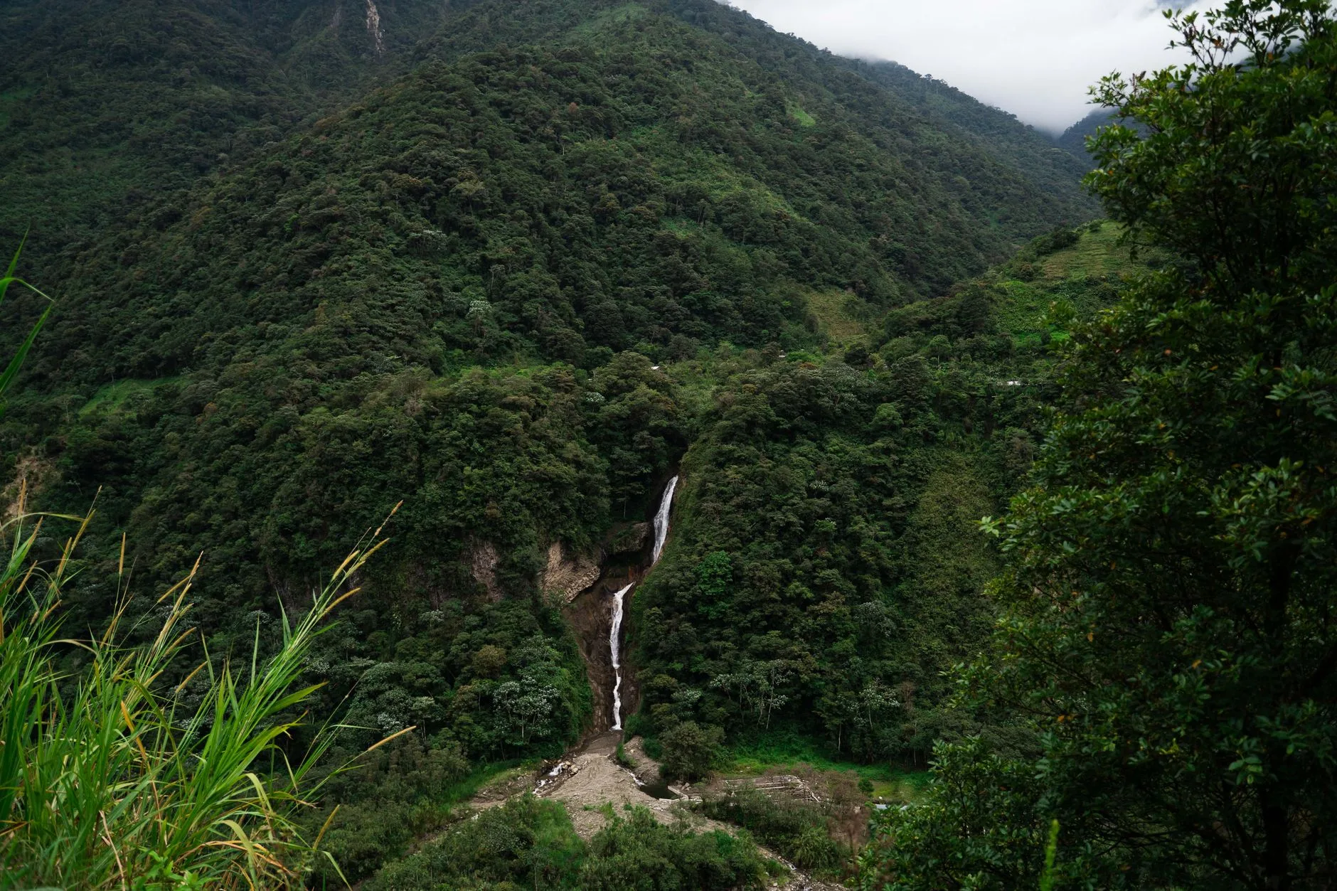 Mindo : la forêt de nuages à deux heures de Quito