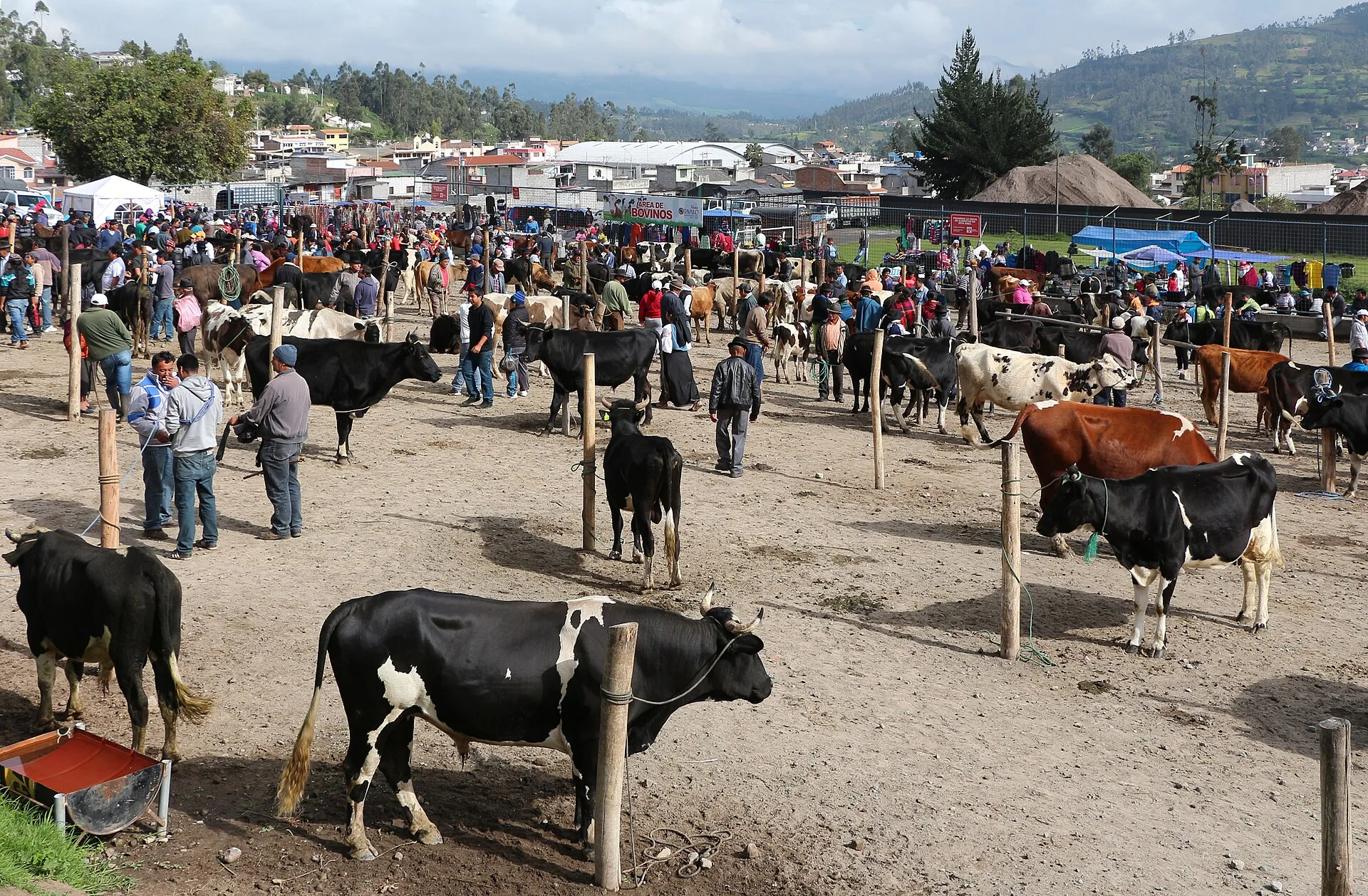 Otavalo : le marché et la culture kichwa