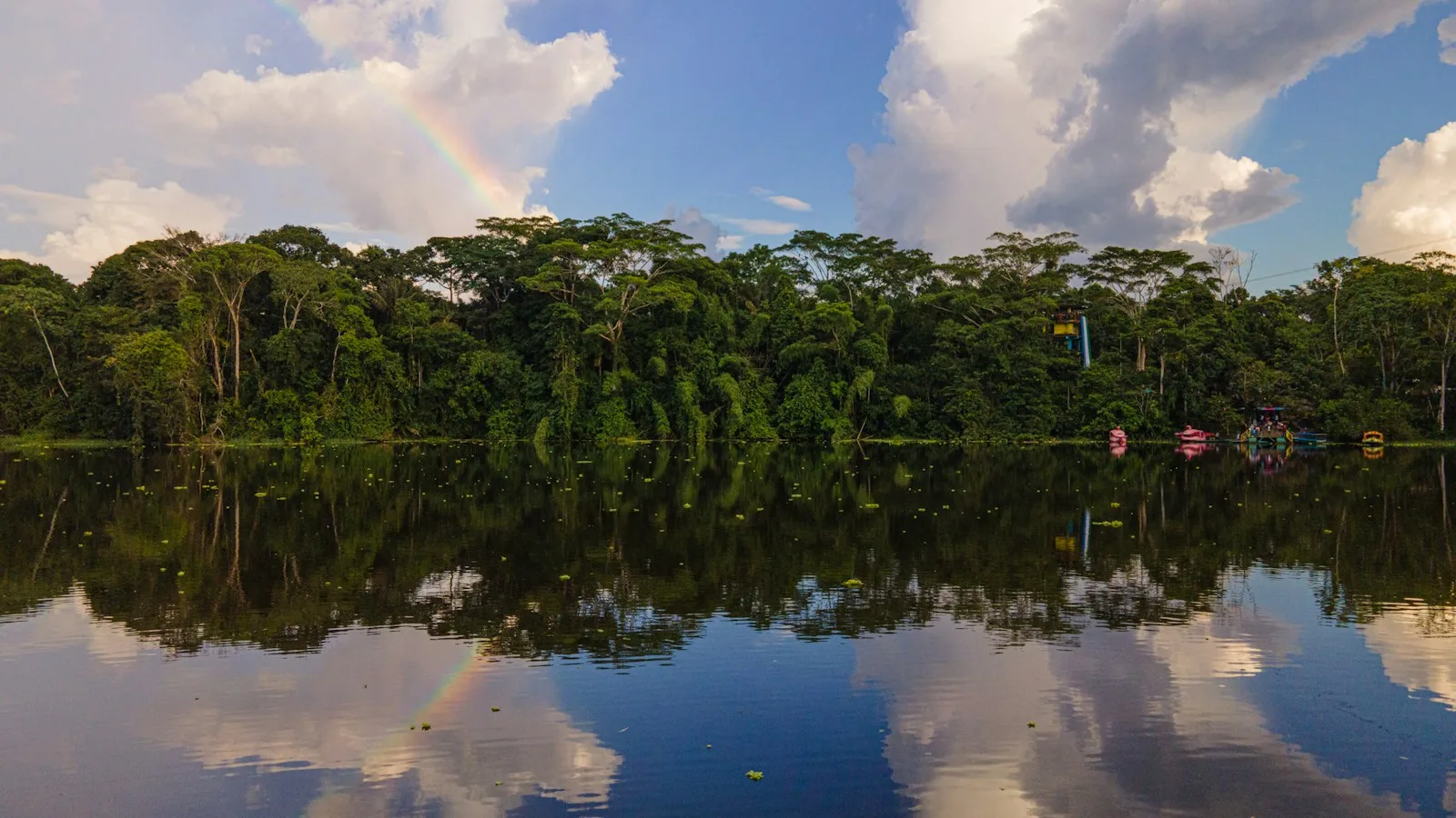 L'Amazonie : une forêt humide presque toute l'année