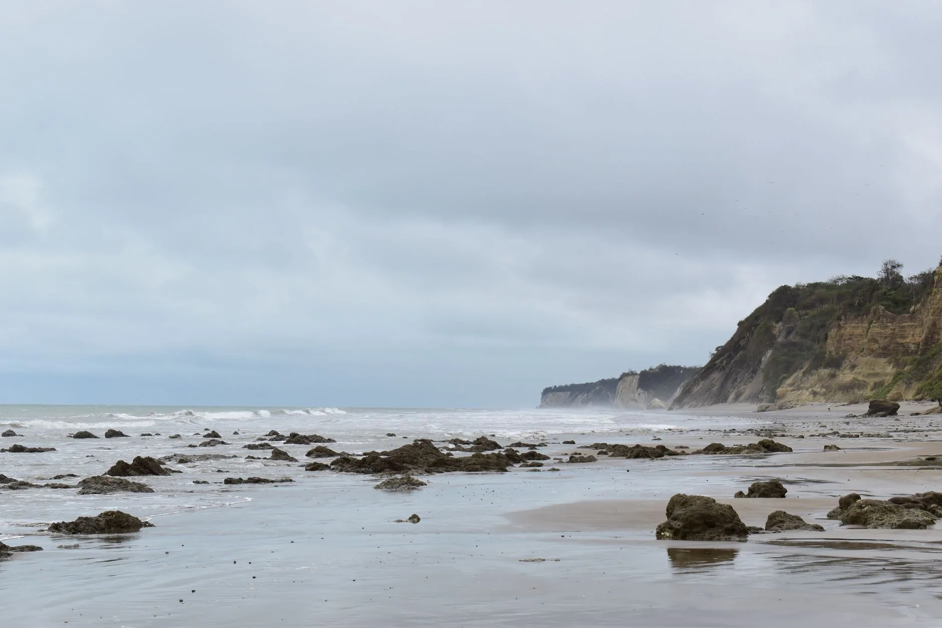 La côte pacifique : plages, chaleur et humidité