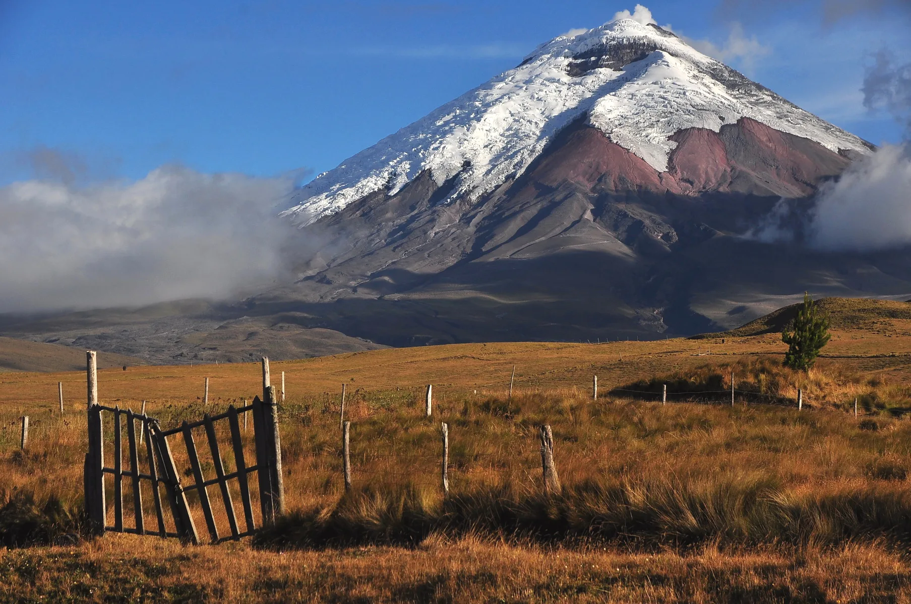 La Sierra : Quito, Cotopaxi, Cuenca et l'avenue des volcans